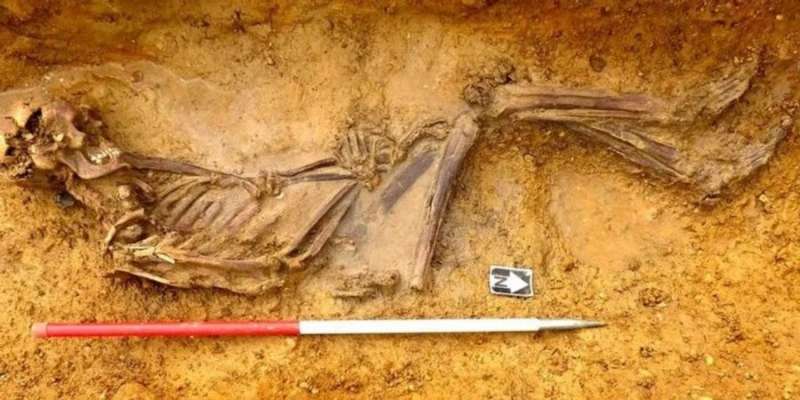 У Великій Британії розкрили таємницю останків віком 2000 років. Ймовірно, вони належали українцю